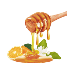 HADDAR 1 LB HONEY